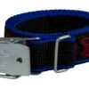 TRANGIA Strap - Riemen Für Sturmkocher